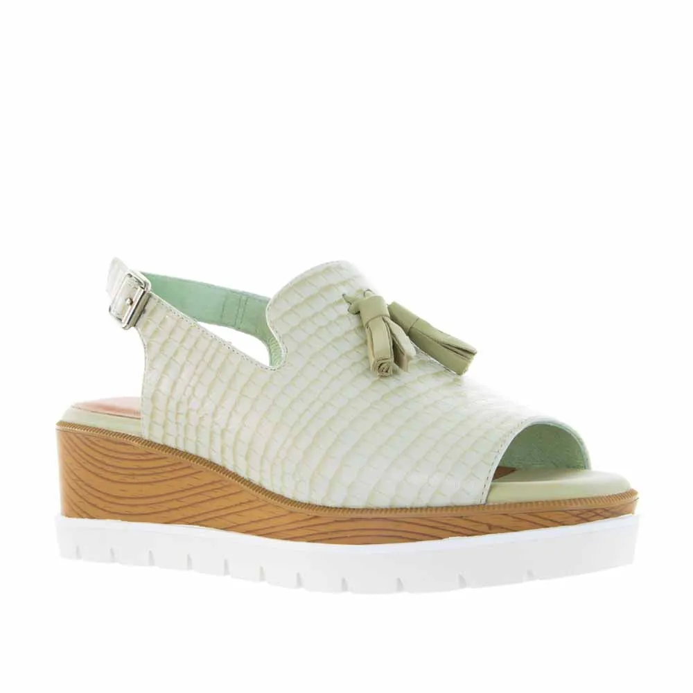 BRESLEY SEACOMBE MINT CROC