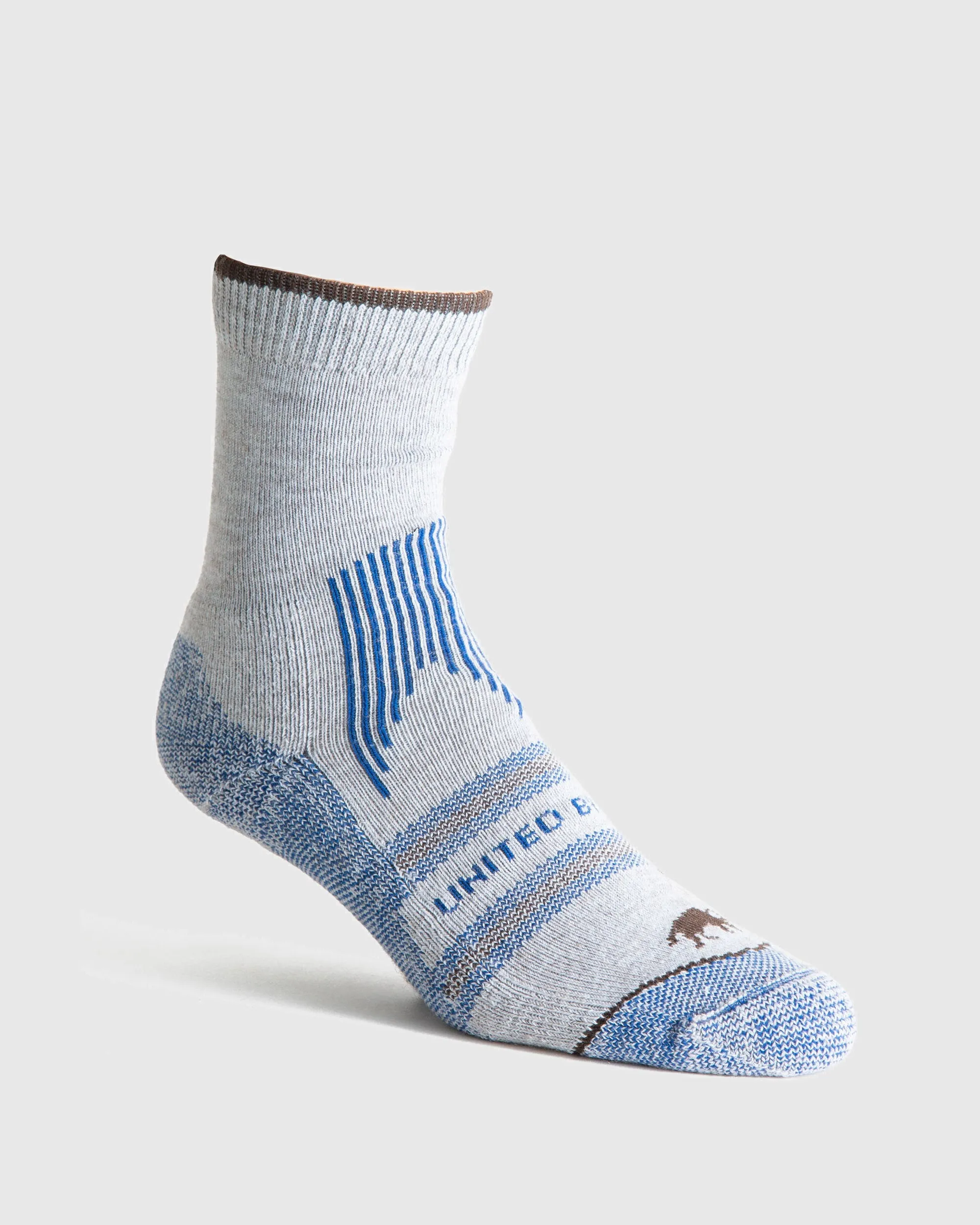 The Imperfect Bison Trail Sock